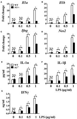 Deficiency in IL-33/ST2 Axis Reshapes Mitochondrial Metabolism in Lipopolysaccharide-Stimulated Macrophages